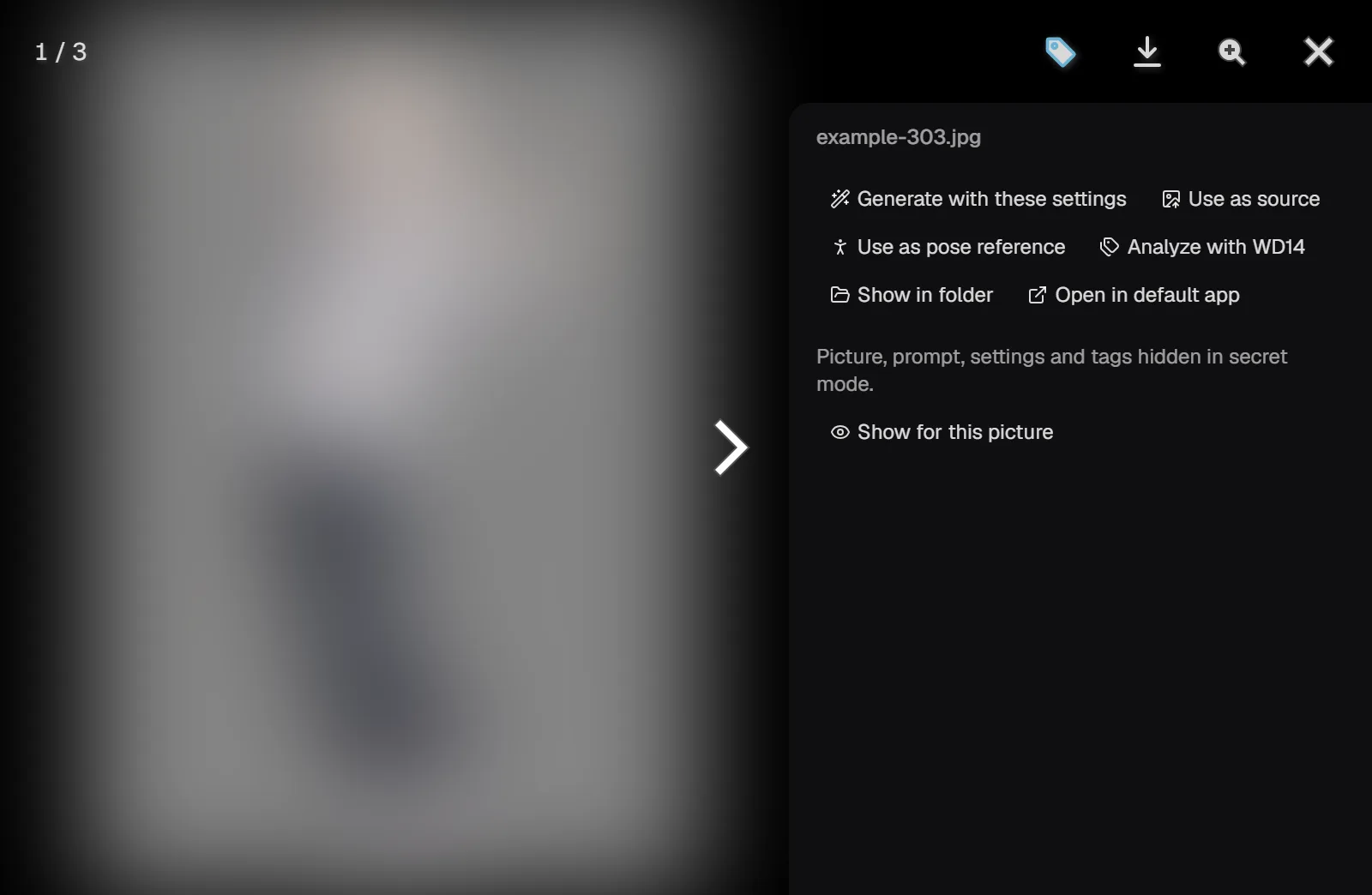 The viewer in secret mode: the picture blurred, and Show for this picture in the side panel